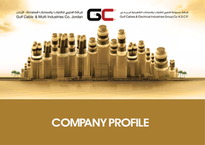 Company Profile